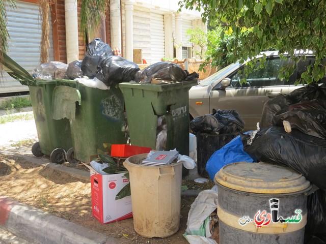  رئيس البلدية عادل بدير : خلال ال 48 ساعة  القادمة ستكون شوارع كفرقاسم نظيفه